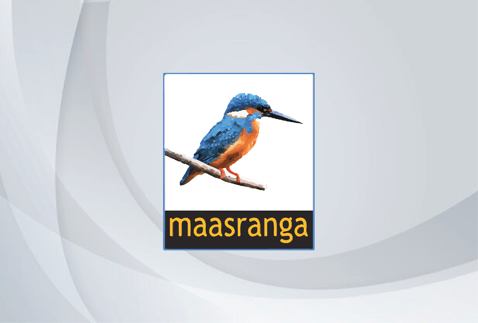 ১টি ভালো কাজে মিলবে ইফতার
 | Maasranga News