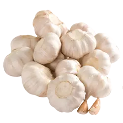 Food packages provided by Youth for Bangladesh