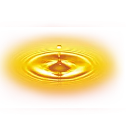 Food packages provided by Youth for Bangladesh