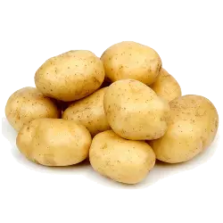 Food packages provided by Youth for Bangladesh